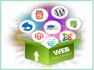 Vertex Plus-Web Development Services