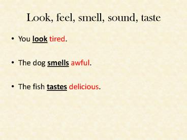 Look, feel, smell, sound, taste