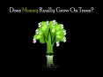 Does Money Really Grow On Trees? PowerPoint PPT Presentation