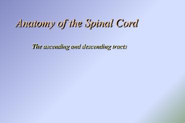 Anatomy of the Spinal Cord