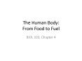The Human Body: From Food to Fuel PowerPoint PPT Presentation
