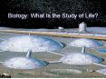 Biology: What Is the Study of Life? PowerPoint PPT Presentation