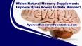 Which Natural Memory Supplements Improve Brain Power In Safe Manner? PowerPoint PPT Presentation