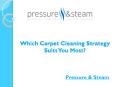 Which Carpet Cleaning Strategy Suits You Most? PowerPoint PPT Presentation