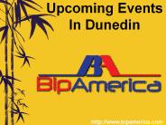 Free Dunedin Business Listing