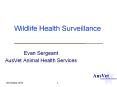Wildlife Health Surveillance PowerPoint PPT Presentation