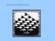 Spatial Vision and Pattern Perception