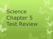 Science Chapter 5 Test Review
