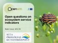 Open questions on ecosystem service indicators PowerPoint PPT Presentation