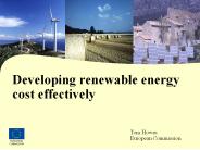Developing renewable energy cost effectively
