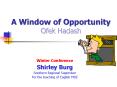 A Window of Opportunity Ofek Hadash PowerPoint PPT Presentation