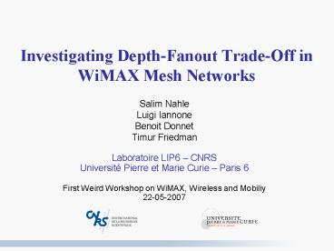 Investigating Depth-Fanout Trade-Off in WiMAX Mesh Networks