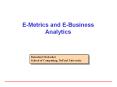 E-Metrics%20and%20E-Business%20Analytics PowerPoint PPT Presentation