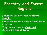 Forestry and Forest Regions