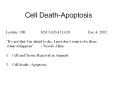 Cell Death-Apoptosis PowerPoint PPT Presentation