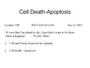 Cell Death-Apoptosis