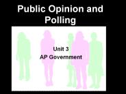 Public Opinion and Polling