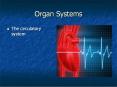 Organ Systems PowerPoint PPT Presentation