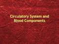 Circulatory System and Blood Components PowerPoint PPT Presentation