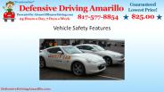 Vehicle Safety Features