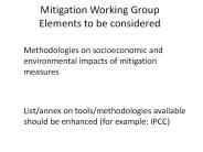 Mitigation Working Group Elements to be considered