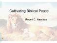 Cultivating Biblical Peace PowerPoint PPT Presentation