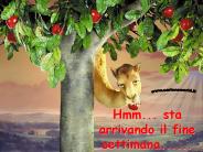 Hmm... sta arrivando il fine settimana......