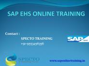 online sap ehs training classes and courses