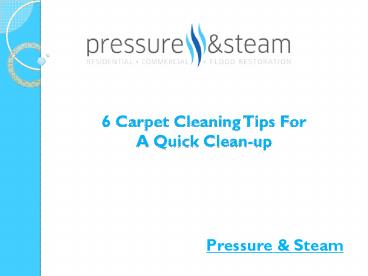 6 Carpet Cleaning Tips For A Quick Cleanup