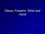 Elbow, Forearm, Wrist and Hand
