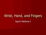 Wrist, Hand, and Fingers
