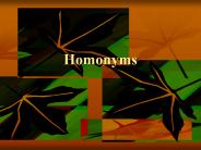 Homonyms