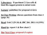 Laboratory: Experiment 2: lyse cells