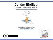 Condor BirdBath SOAP Interface to Condor