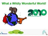 What a Wildly Wonderful World!