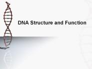 DNA Structure and Function