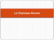 Le Chameau Ahume