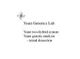 Yeast Genetics Lab. PowerPoint PPT Presentation