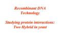 Recombinant DNA Technology  Studying protein interactions: Two Hybrid in yeast PowerPoint PPT Presentation