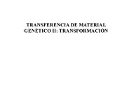 TRANSFERENCIA DE MATERIAL GEN