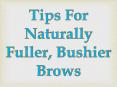 Tips For Naturally Fuller, Bushier Brows PowerPoint PPT Presentation