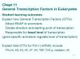 Chapt 11 General Transcription Factors in Eukaryotes PowerPoint PPT Presentation