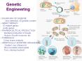 Genetic Engineering PowerPoint PPT Presentation
