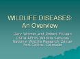 WILDLIFE DISEASES: An Overview PowerPoint PPT Presentation