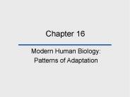 Modern Human Biology: