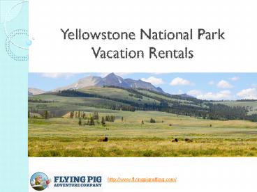 Yellowstone National Park Vacation Rentals