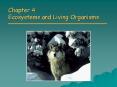 Chapter 4 Ecosystems and Living Organisms PowerPoint PPT Presentation