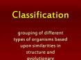 Classification PowerPoint PPT Presentation