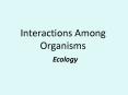 Interactions Among Organisms PowerPoint PPT Presentation