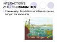 INTERACTIONS WITHIN COMMUNITIES PowerPoint PPT Presentation